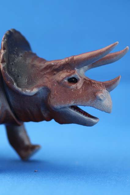 クローバー５０／１・スケール恐竜の世界シリーズ・トリケラトプス